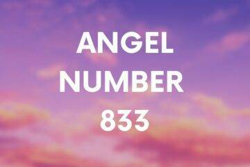 ANGEL NUMBER 833