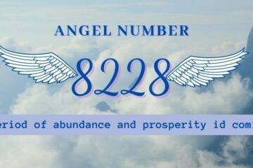 angel number 8228