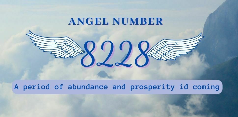 angel number 8228