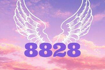 Angel Number 8828