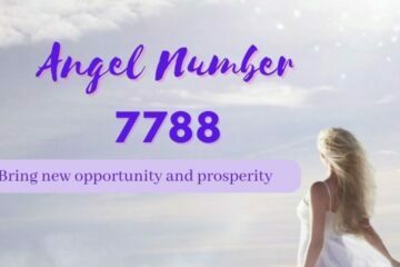 angel number 7788