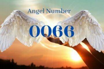 Angel Number 0066