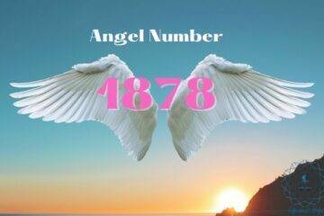 Angel Number 1878