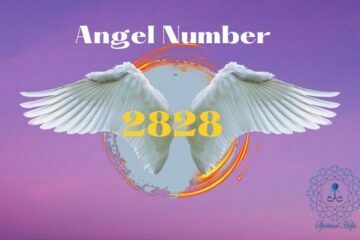 Angel Number 2828