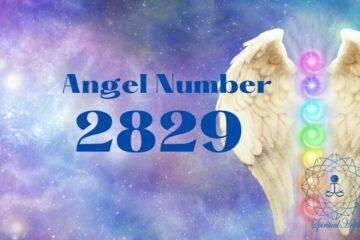 Angel Number 2829