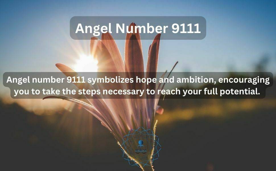 Angel number 9111