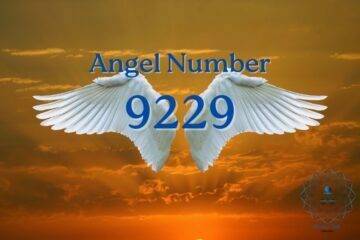 Angel Number 9229