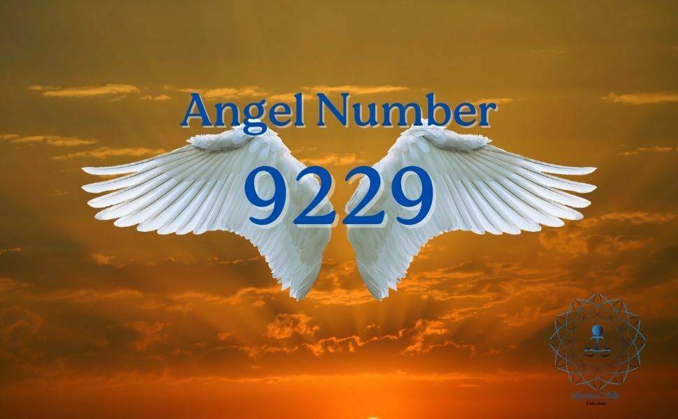 Angel Number 9229