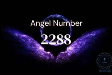 Angel Number 2288