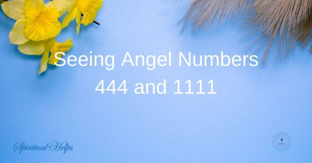 Yellow daffodils and fluffy seedheads against a light blue background. Text overlay reads "Seeing Angel Numbers 444 and 1111" in white font