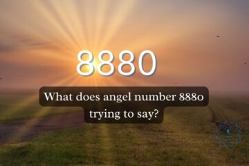 angel number 8880