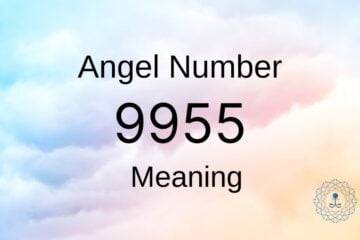 Angel Number 9955