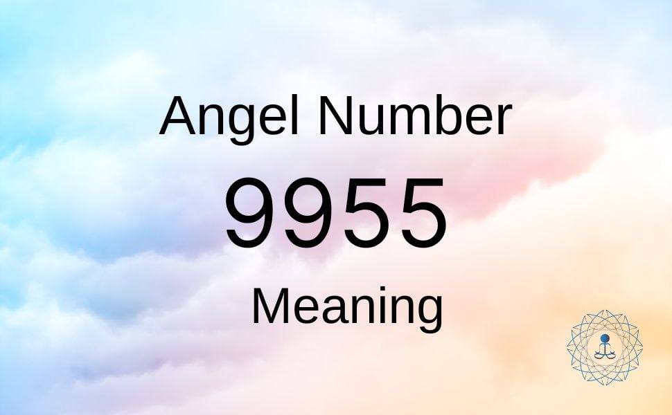 Angel Number 9955