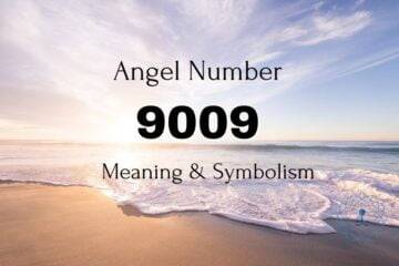 Angel Number 9009