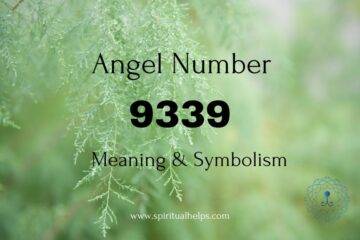 Angel Number 9339