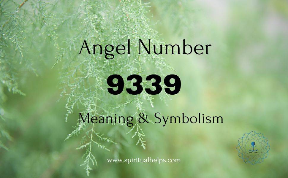 Angel Number 9339