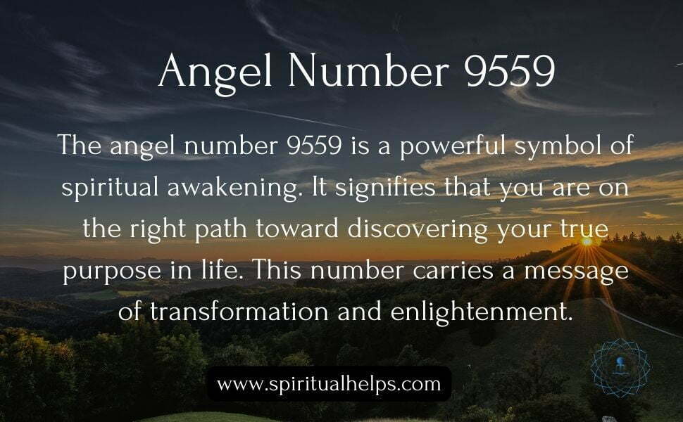 Angel number 9559