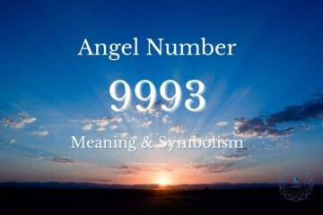 Angel Number 9993