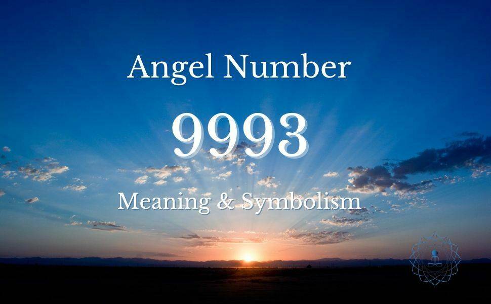 Angel Number 9993