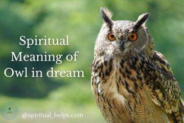 Spiritual Meaning of Owl in dream