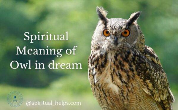 Spiritual Meaning of Owl in dream