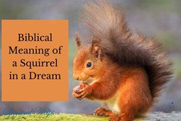 Biblical Meaning of a Squirrel in a Dream