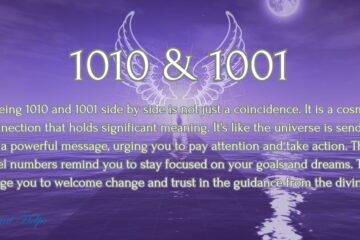 1010 and 1001