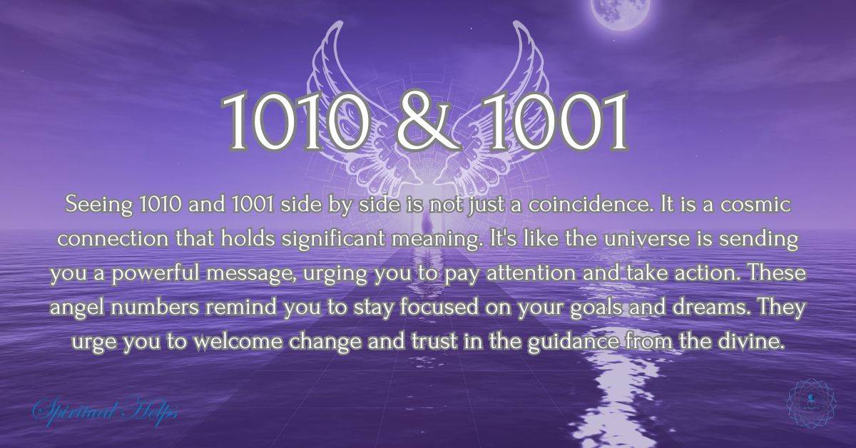 1010 and 1001