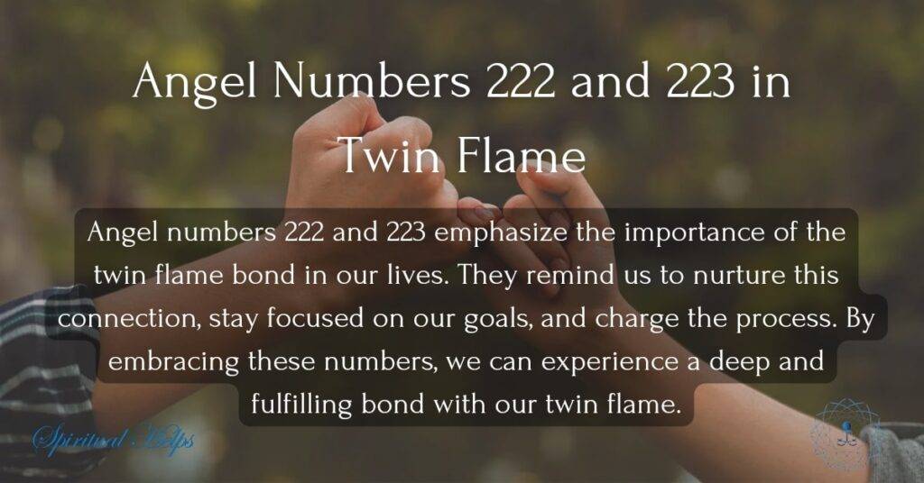 222 and 223 Twin flame