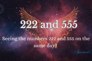 222 and 555 angel numbers