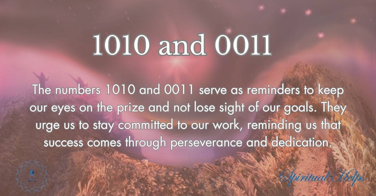 1010 and 0011