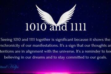 1010 and 1111