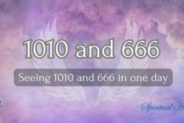 1010 and 666