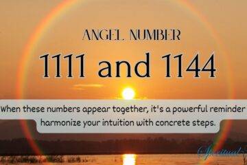 1111 and 1144