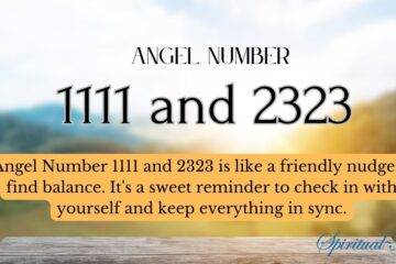 1111 and 2323