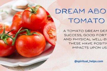 Dream About Tomato