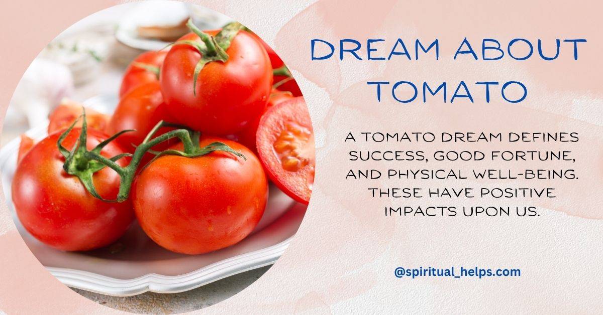 Dream About Tomato