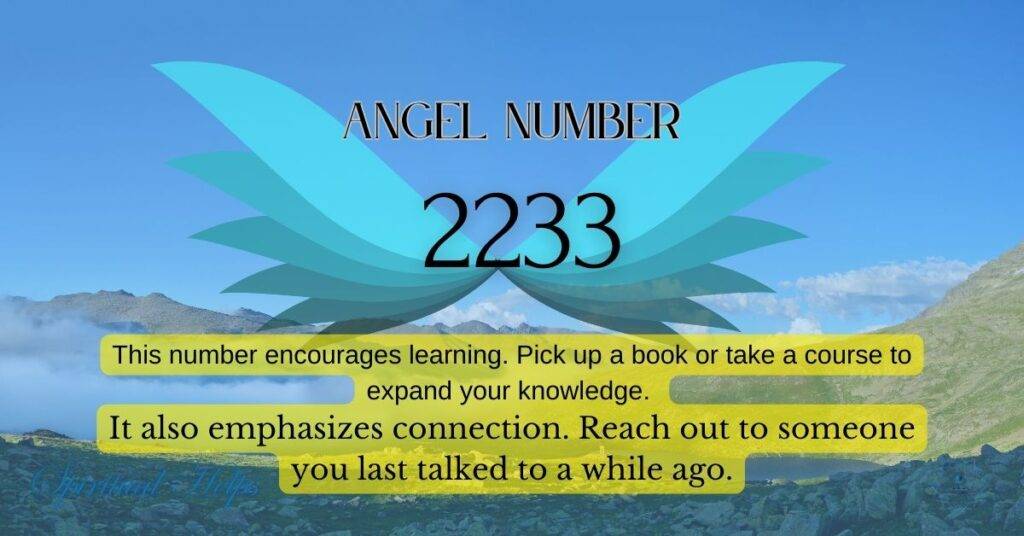 Angel number 2233 with stylized blue wings against a mountain landscape. Text explains the number encourages learning and connection, suggesting to pick up a book or reach out to someone.