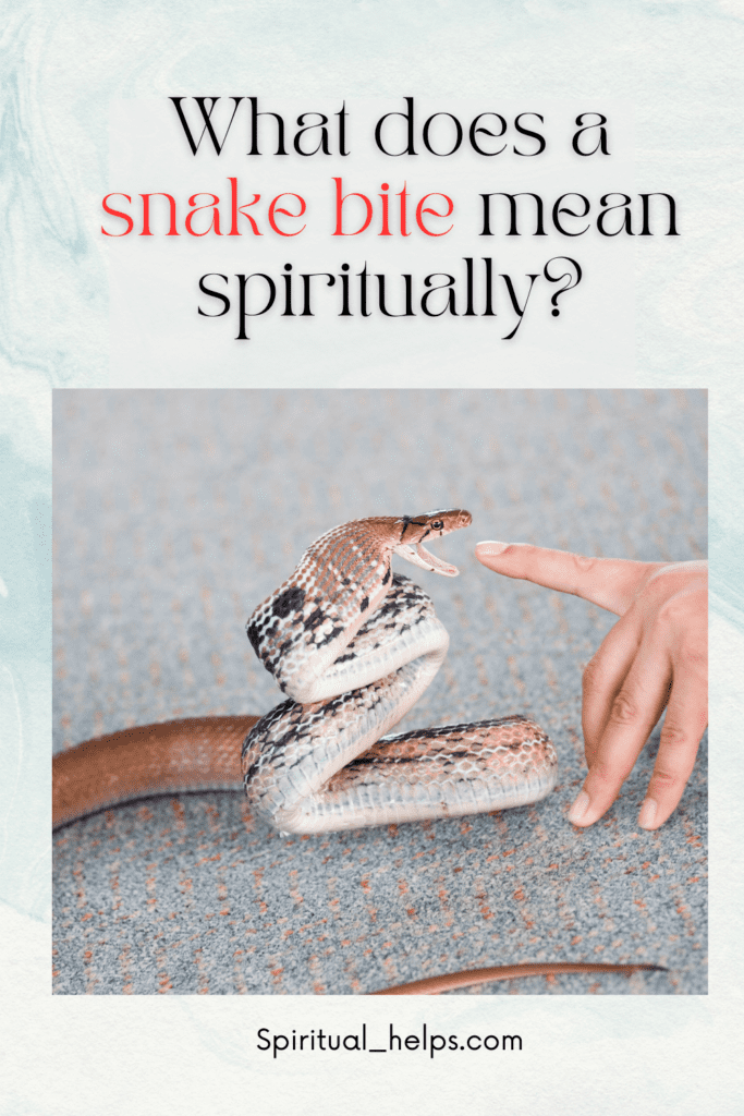 A finger pointing toward a small, light brown snake coiled and in a defensive posture with its mouth open, seemingly about to strike the finger. The background is a textured, speckled surface of muted beige and gray tones. Text at the top reads "What does a snake bite mean spiritually?" in a mix of coral and black fonts. The website "Spiritual_helps.com" is listed at the bottom.