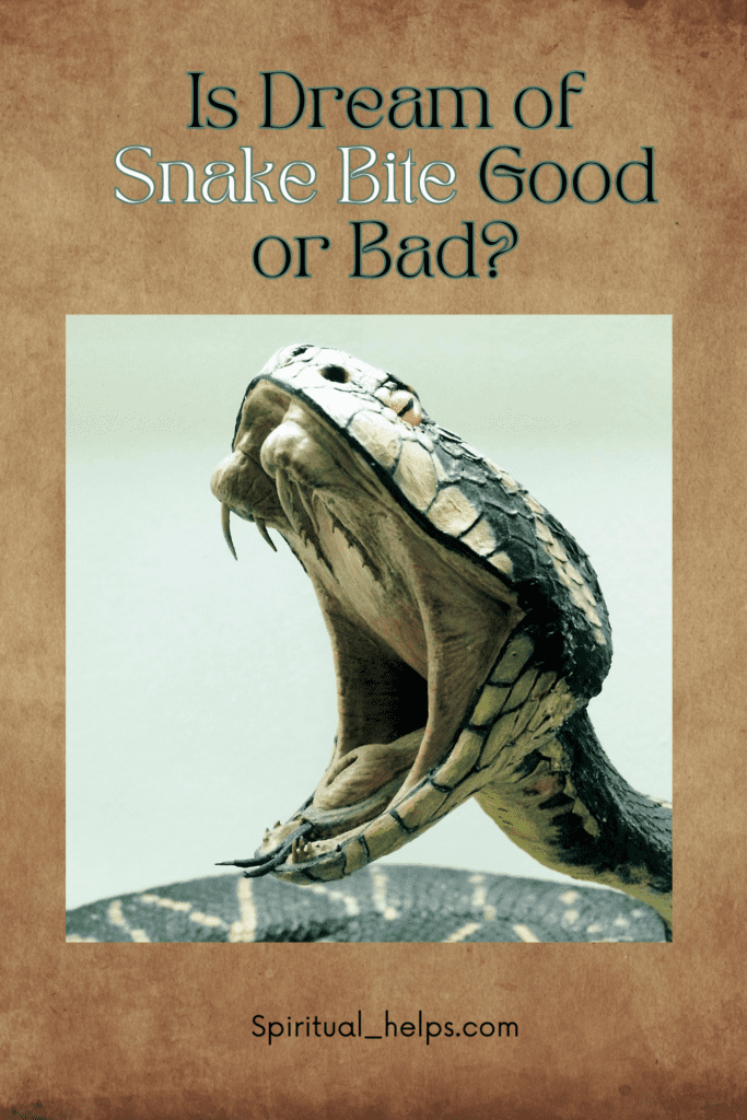 Image of a large, dark-colored snake with its mouth wide open, seemingly in mid-strike. The inside of its mouth is pale, and its scales are clearly visible. The background is a light, cool-toned neutral color. The text at the top reads "Is Dream of Snake Bite Good or Bad?" in a teal/green font. The website "Spiritual_helps.com" is listed at the bottom.